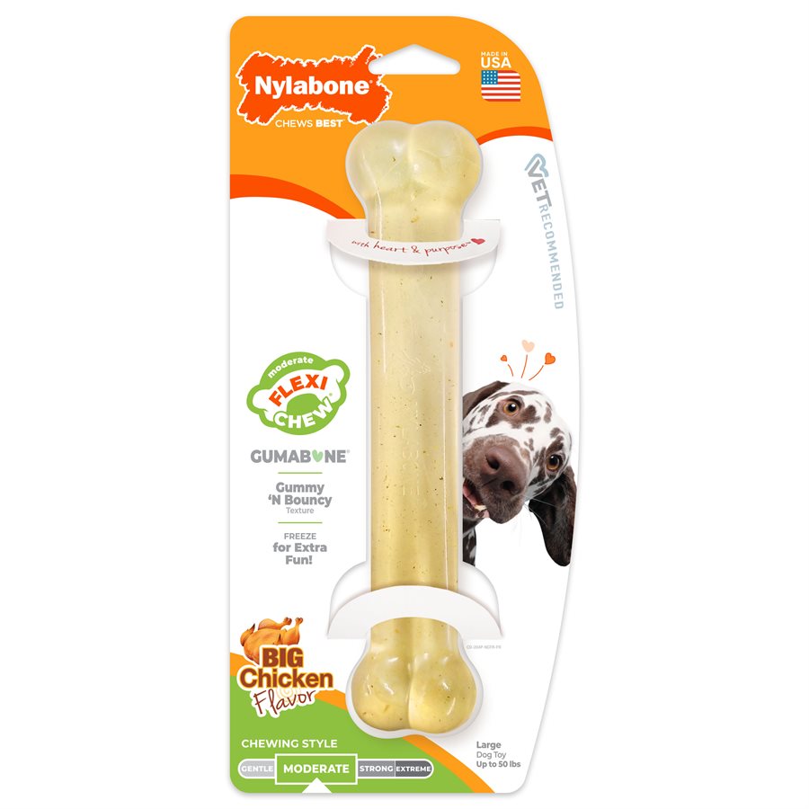 Nylabone - Os Souple Saveur de Poulet pour Mâcheurs Modérés - Jouet à Mâcher pour Chiens