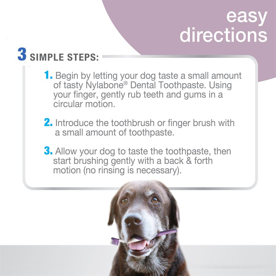 Nylabone - Trousse de Soins Bucco-Dentaires Avancés pour Chiens Âgés de Petite Race - Soin pour Chiens