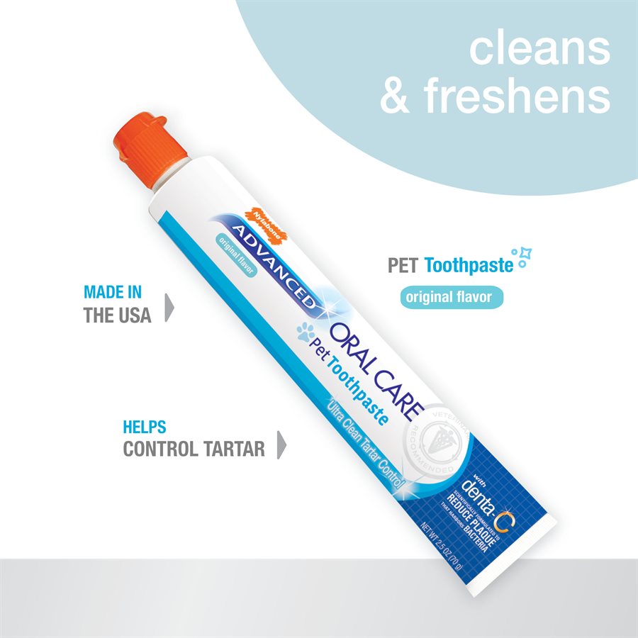 Nylabone - Dentifrice Contrôle du Tartre Saveur de Mélasse - Soin pour Chiens