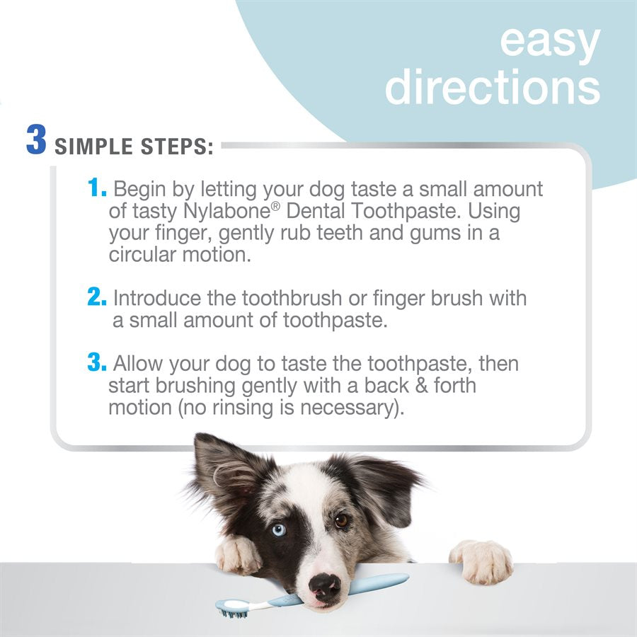 Nylabone - Dentifrice Contrôle du Tartre Saveur de Mélasse - Soin pour Chiens