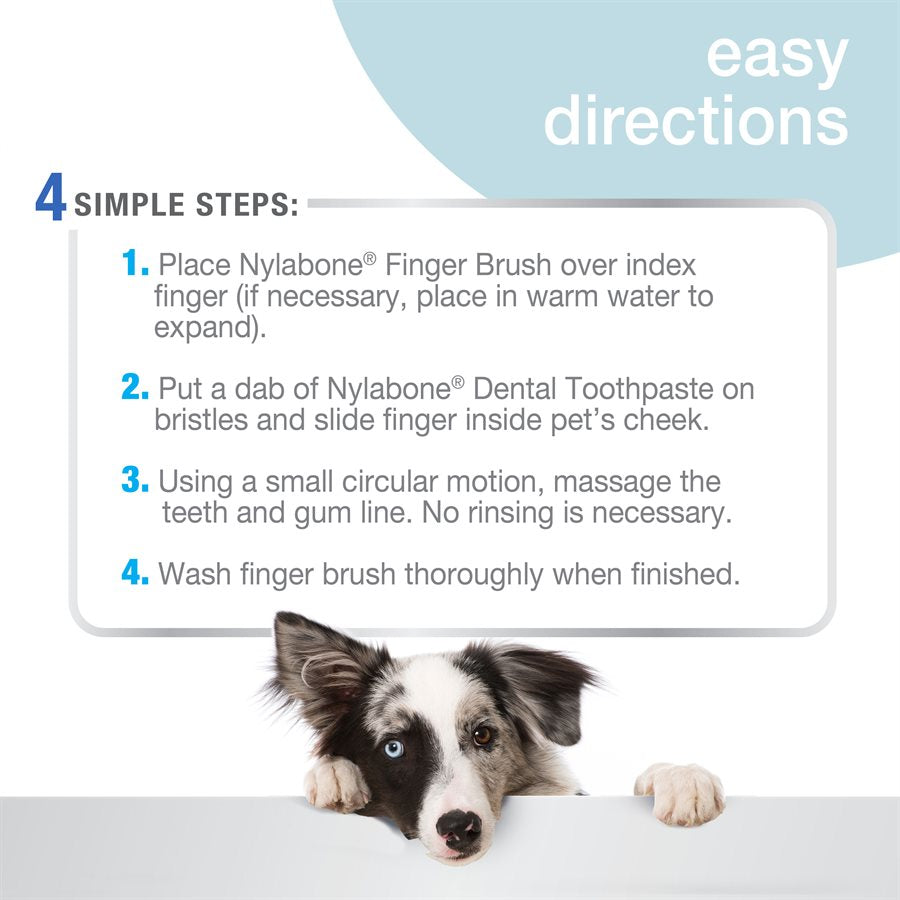 Nylabone - Brosse à Dents pour Doigt - Soin pour Chiens