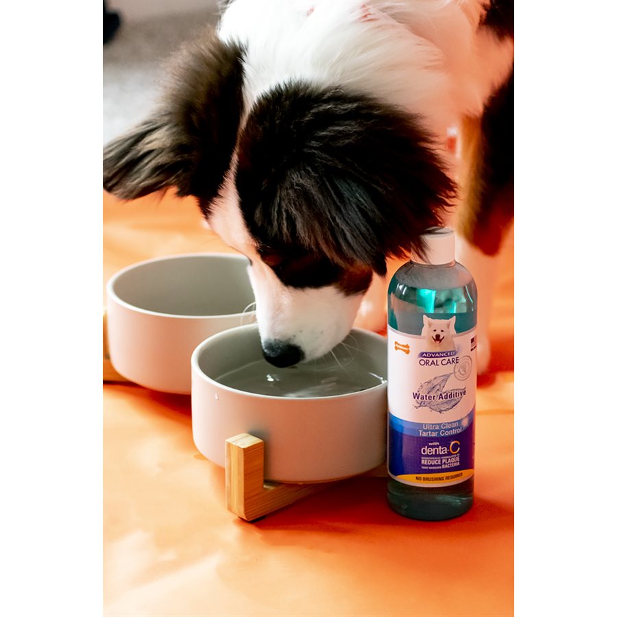 Nylabone - Liquide Enlève-Plaque - Additif pour l'Eau pour Chiens