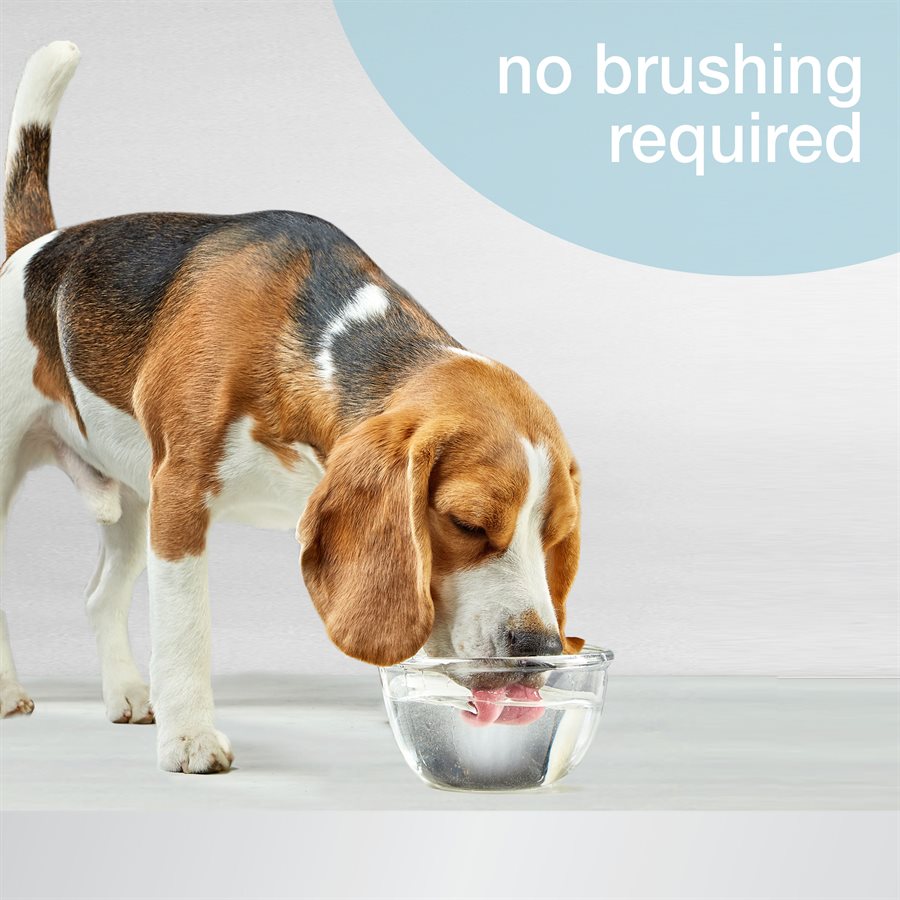 Nylabone - Liquide Enlève-Plaque - Additif pour l'Eau pour Chiens