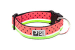 Voir l’image dans la galerie, RC Pets - Collier Large à Motifs Melon d'Eau - Collier pour Chiens