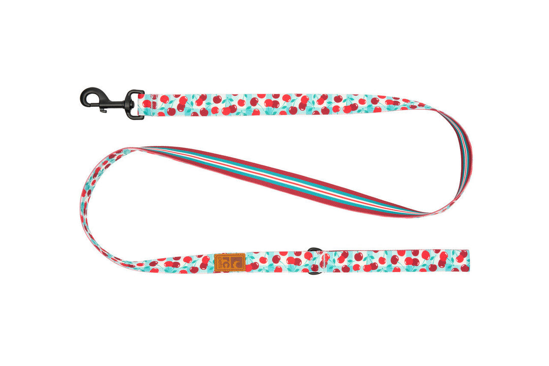 RC Pets - Laisse Éco Motifs 1/2" x 60" Buffet de Cerises - Laisse pour Chiens