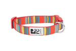 Voir l’image dans la galerie, RC Pets - Collier à Motifs Multi-Rayures - Collier pour Chiens