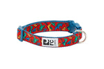Voir l’image dans la galerie, RC Pets - Collier à Motifs Parc Jurassique - Collier pour Chiens