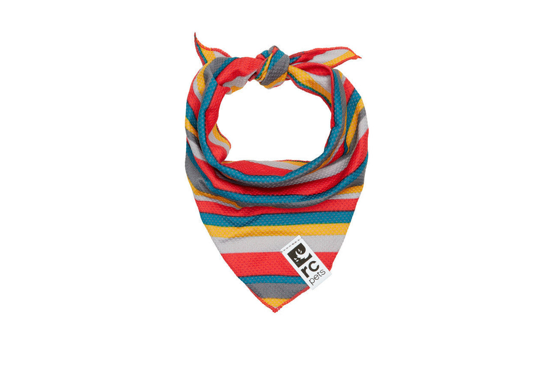 RC Pets - Bandana Rafraîchissant Zephyr Multi-Rayures - Bandana pour Chiens