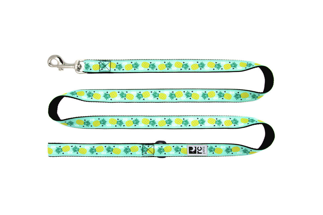 RCP Laisse Motif 3/4x72" Parade d'Ananas