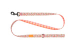 Voir l’image dans la galerie, RCP Laisse Éco Motifs 1/2x60" Joie de Marguerite
