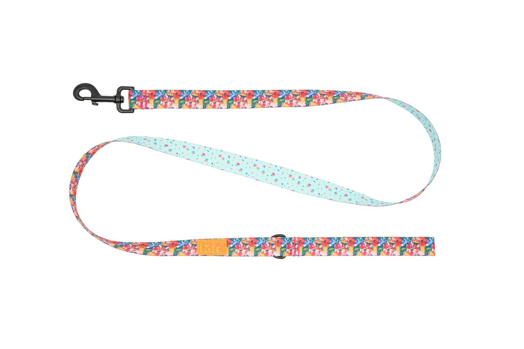 RCP Laisse Éco Motifs 3/4x60" Fleurs Sauvages