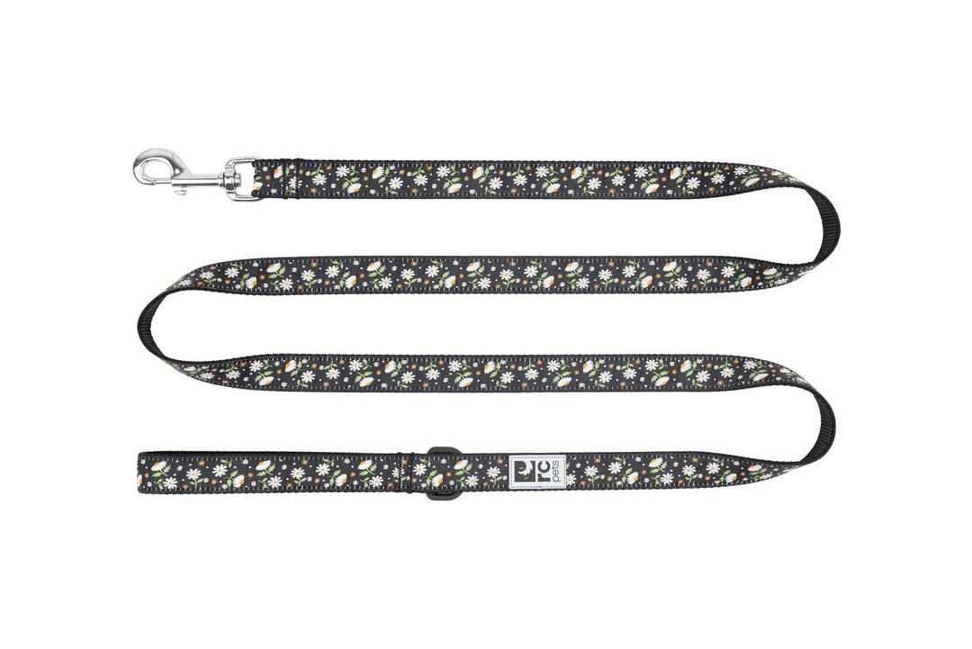 RCP Laisse Motif 3/4x72" Marguerites
