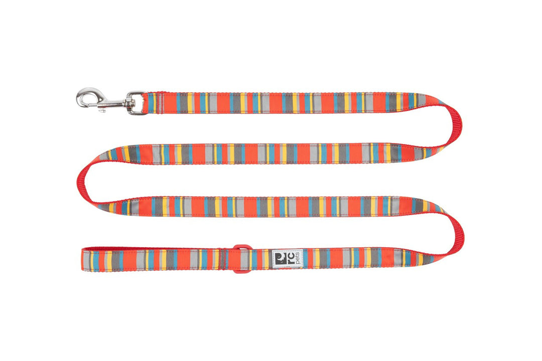 RCP Laisse Motif 1x72" Multi-Rayures