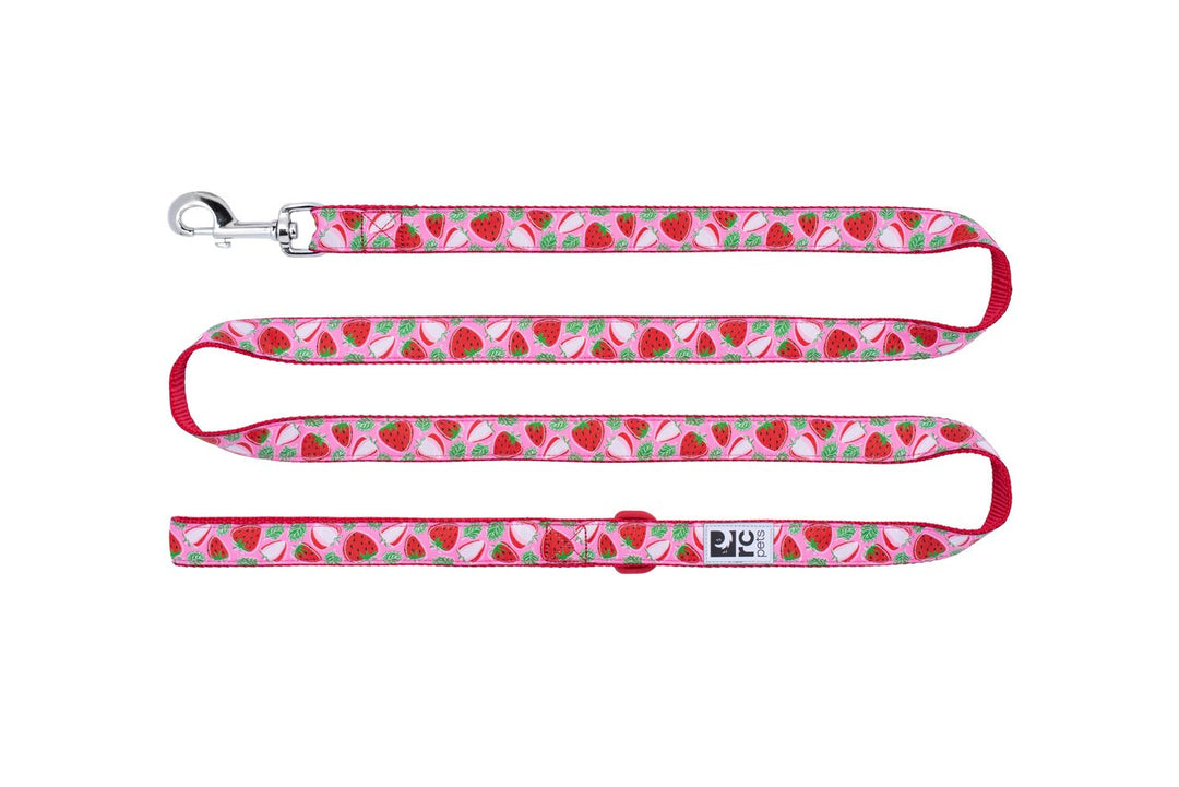 RC Pets - Laisse à Motifs Fraises - Laisse pour Chiens