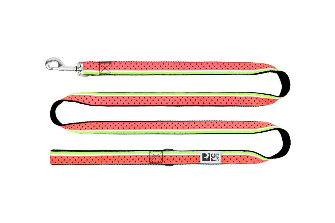 RCP Laisse Motif 1x72" Melon d'Eau