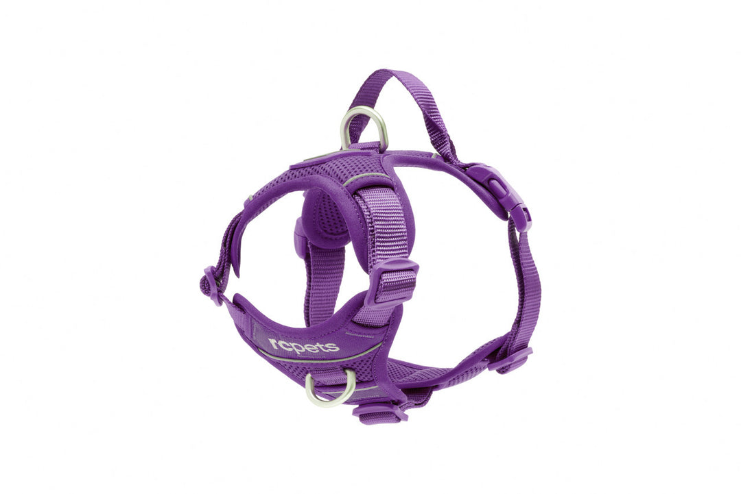 RCP Harnais Contrôle Momentum XL Mauve