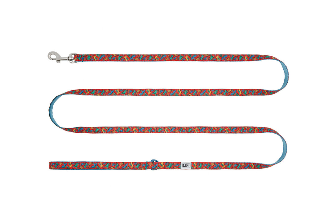 RCP Petit Laisse  à Motifs 1/2x72" Dinos Enjoués