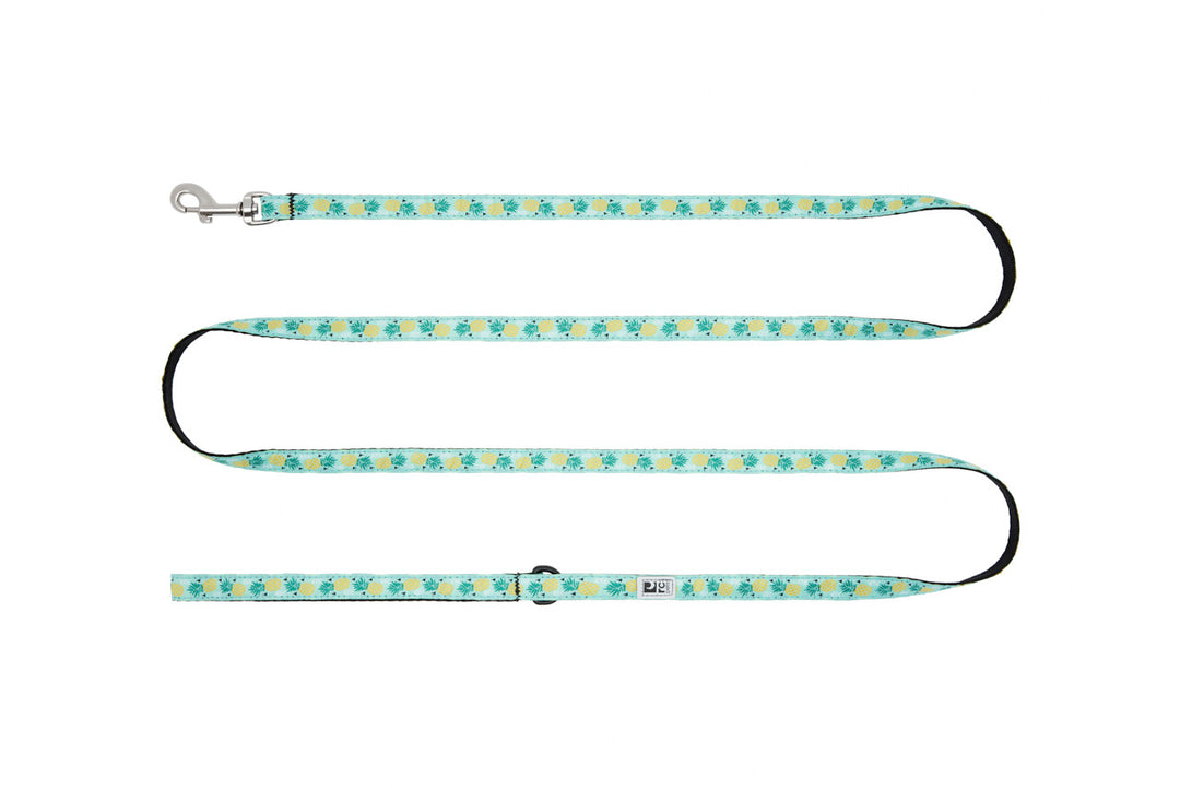 RCP Petit Laisse  à Motifs 1/2x72" Parade d'Ananas