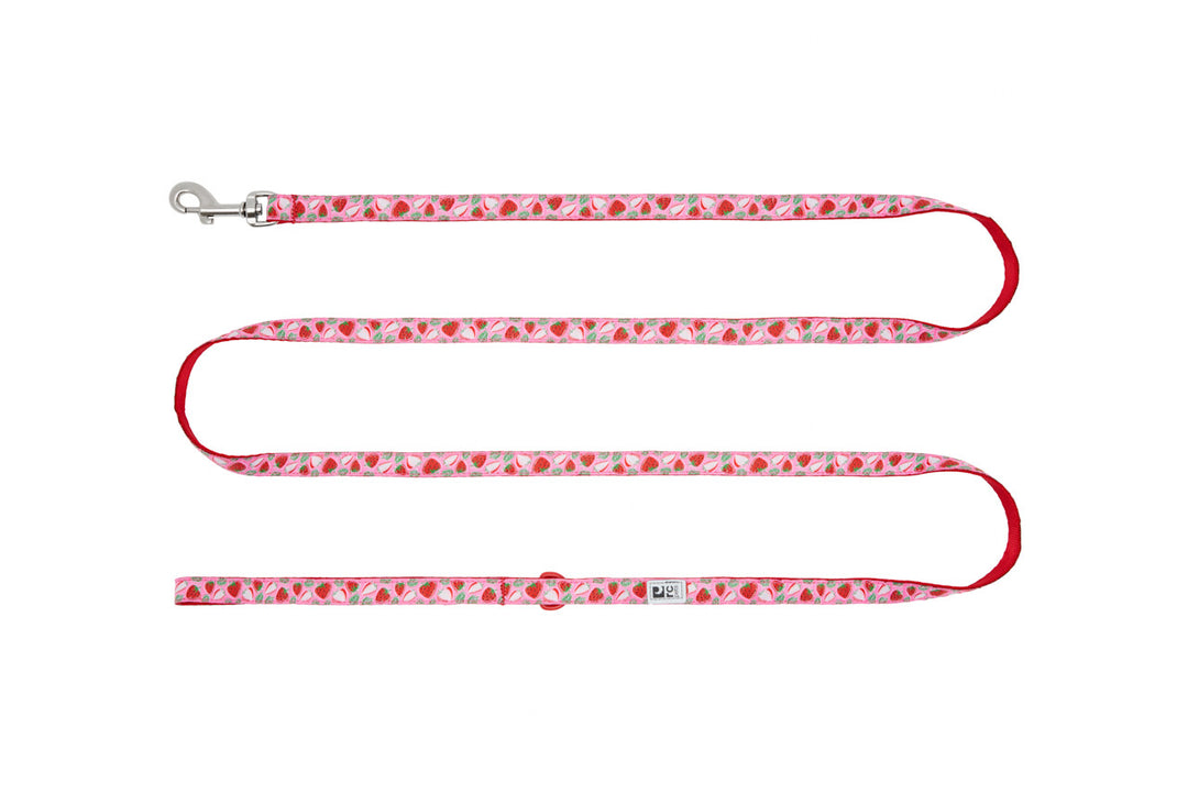 RC Pets - Petite Laisse à Motifs 1/2" x 72" Fraises - Laisse pour Chiens