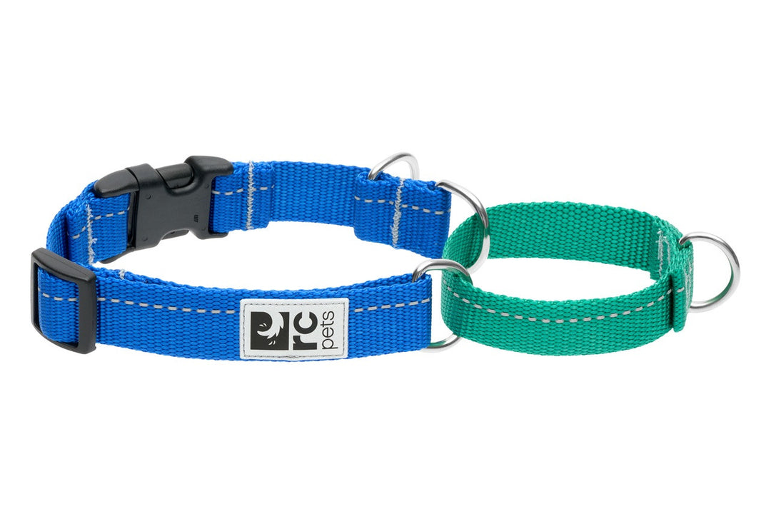 RCP Collier Dressage Sangle Base M Saphir/Perruche