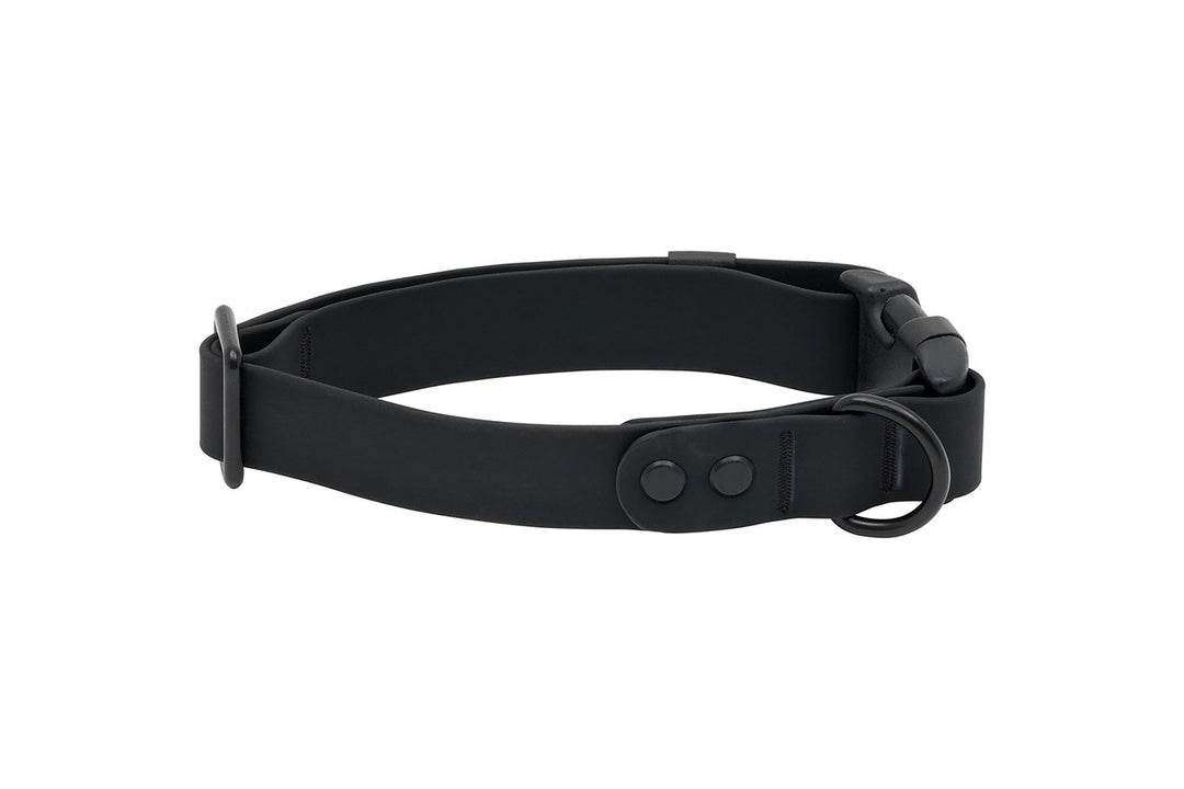 RC Pets - Collier Imperméable Noir - Collier pour Chiens