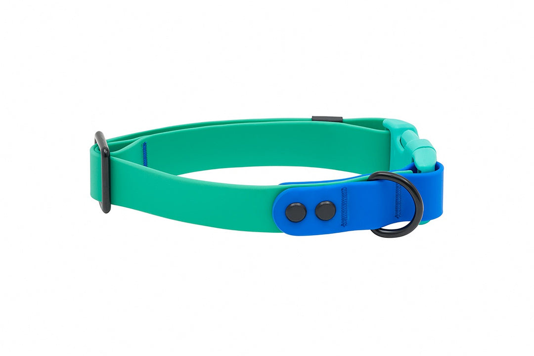 RCP Collier Imperméable S Perruche/Saphir
