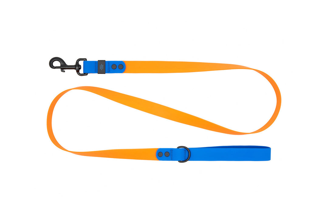 RCP Laisse Imperméable 1x60" Orange/Saphir
