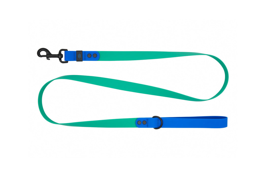 RCP Laisse Imperméable 1x60" Perruche/Saphir