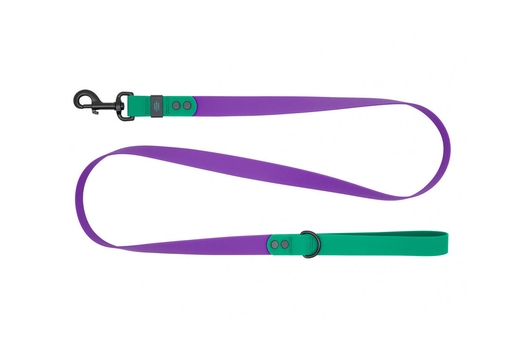 RCP Laisse Imperméable 1x60" Mauve/Perruche