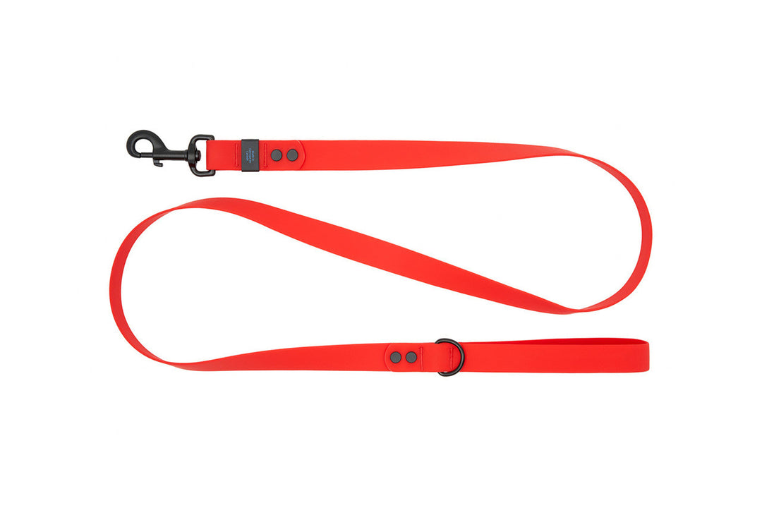 RCP Laisse Imperméable 1x60" Rouge