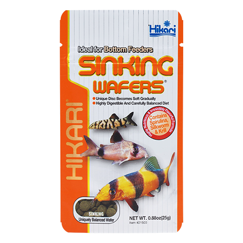 HIKARI Nourriture Sinking Wafers 3.88oz