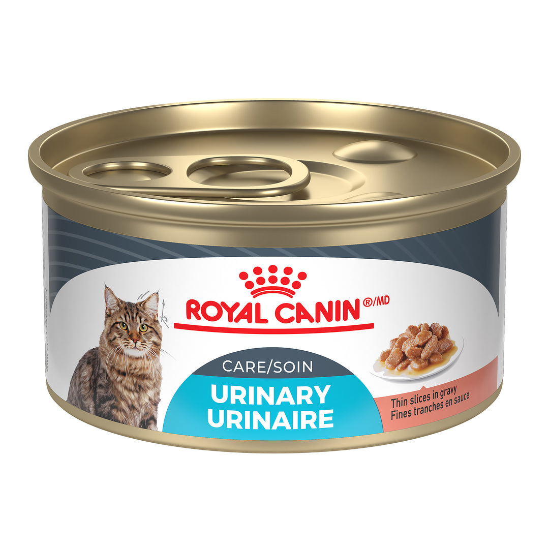 ROYAL CANIN Chat Soin Urinaire, Tranche en Sauce 85g