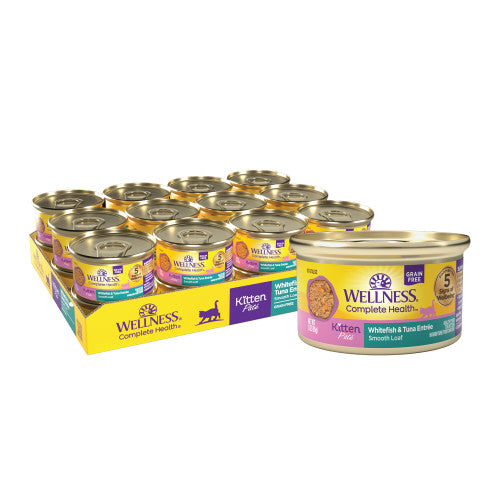 Wellness Complete Health - Chaton Pâté de Poisson Blanc et Thon - Nourriture Humide Sans Grains pour Chats