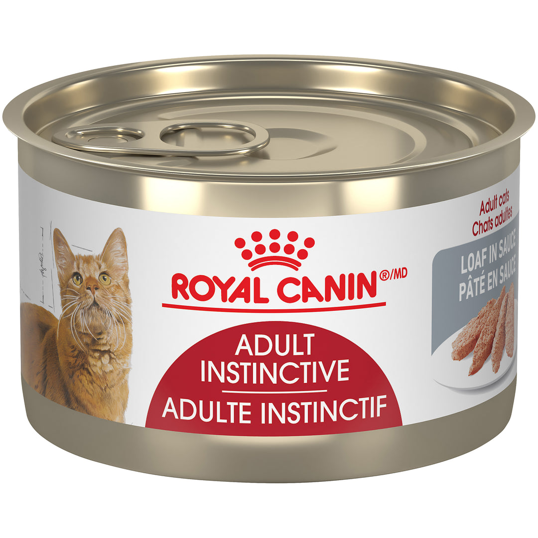ROYAL CANIN Chat Adulte Instinctif, Pâté en Sauce 145g