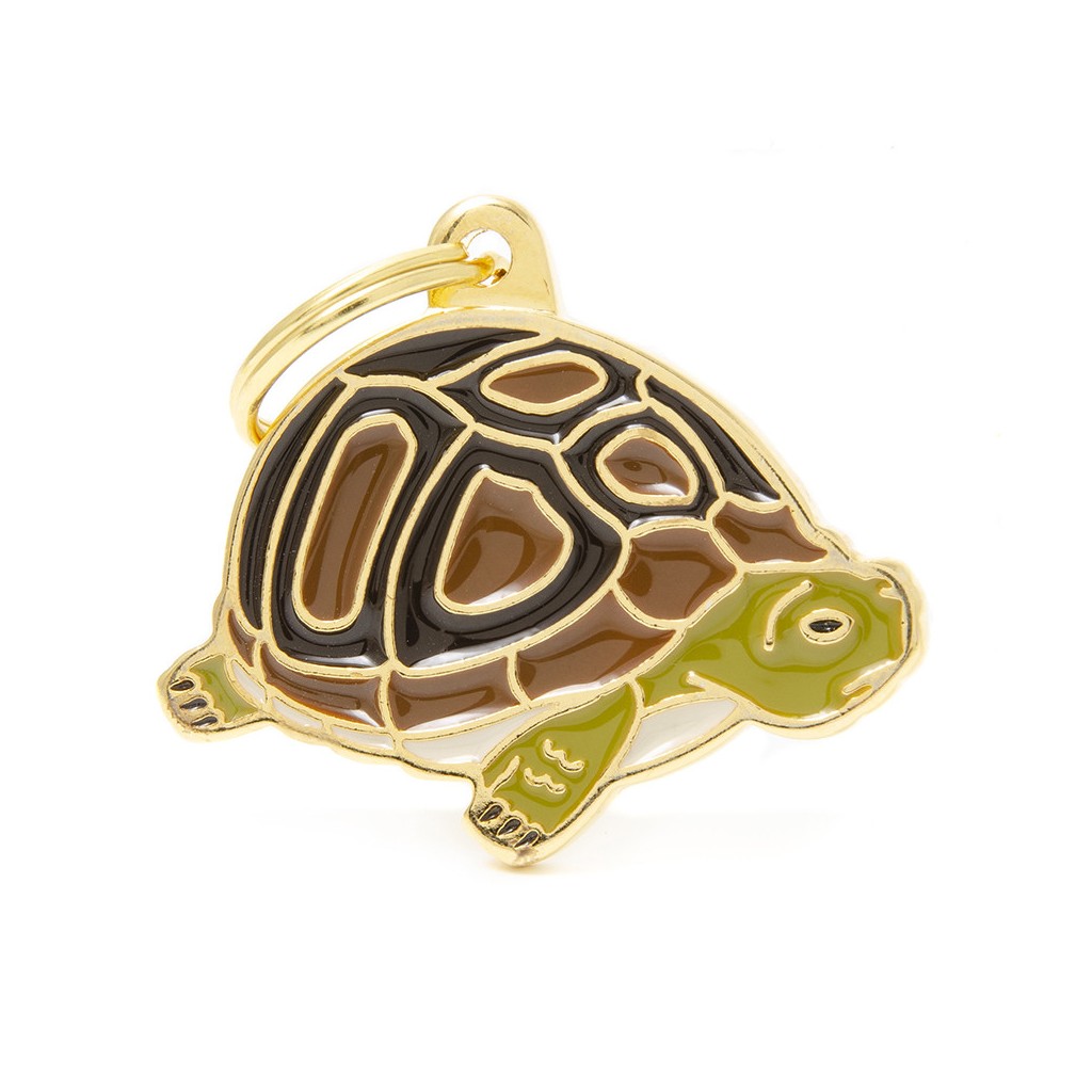MFC Sauvage Tortue
