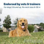 Petsafe - Stay and Play Collier Add-A-Dog - Accessoire Anti-Fugue pour Chiens